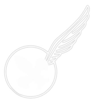 Wit lijn halve logo (voor donkere achtergrond)